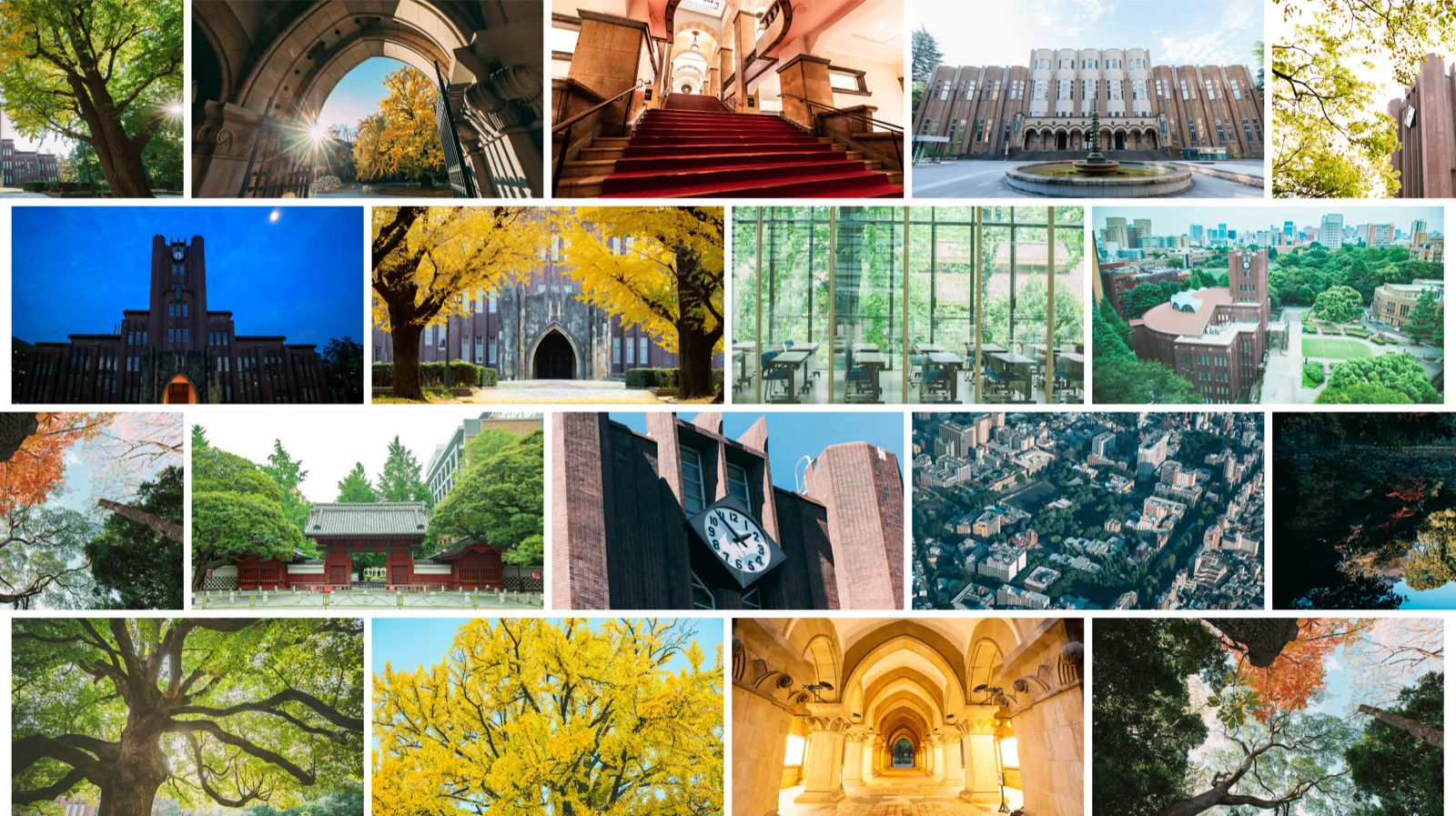 UTokyo Visual Assets